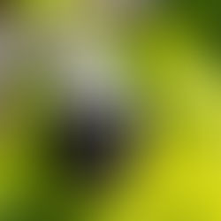 Güvenlik Sistemleri Hakkında Bilmeniz Gereken Her Şey