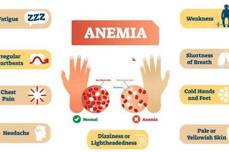 Can I get Social Security Disability if I have Anemia?