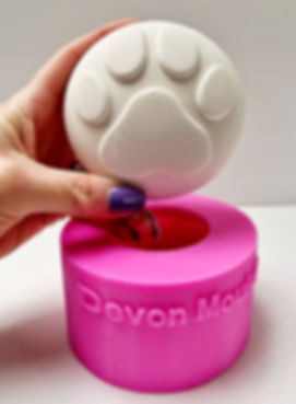 10cm Dog Paw print stone silicone mould