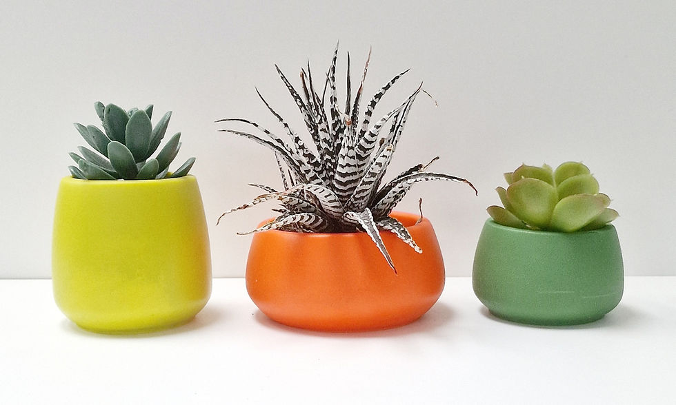 الصورة المصغرة: No hole,  Pot 3 , 75x50mm plant pot silicone mould
