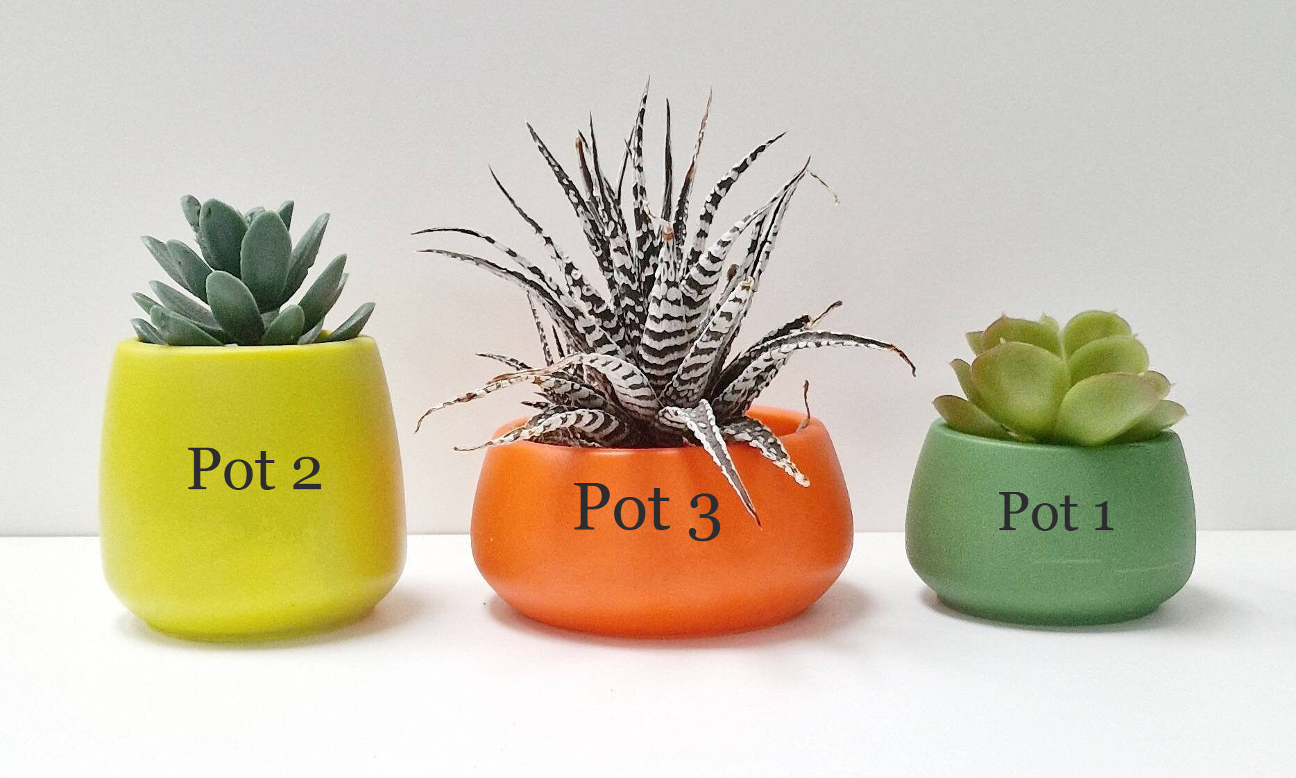 2nd of Pot 3, 75mm x 50mm round plant pot silicone mould