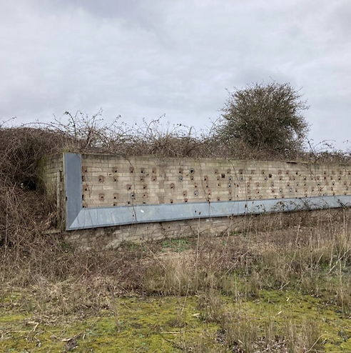 Sand martin bank