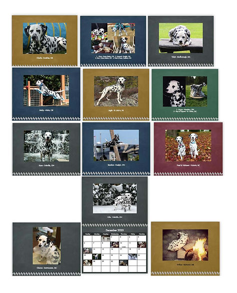 2020 Calendar final month pics.jpg