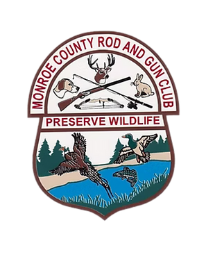 Attended from Aug. 2003 to May 2007 Graduated cum laude with a GPA of 3.5 President, Curtin High Art Club Awardee, Excellence in Arts & Design.png