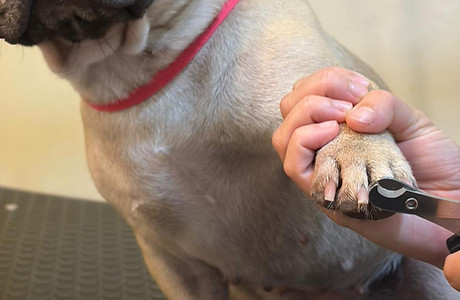 WhatsApp Image 2025-11-07 at 10.43_edite