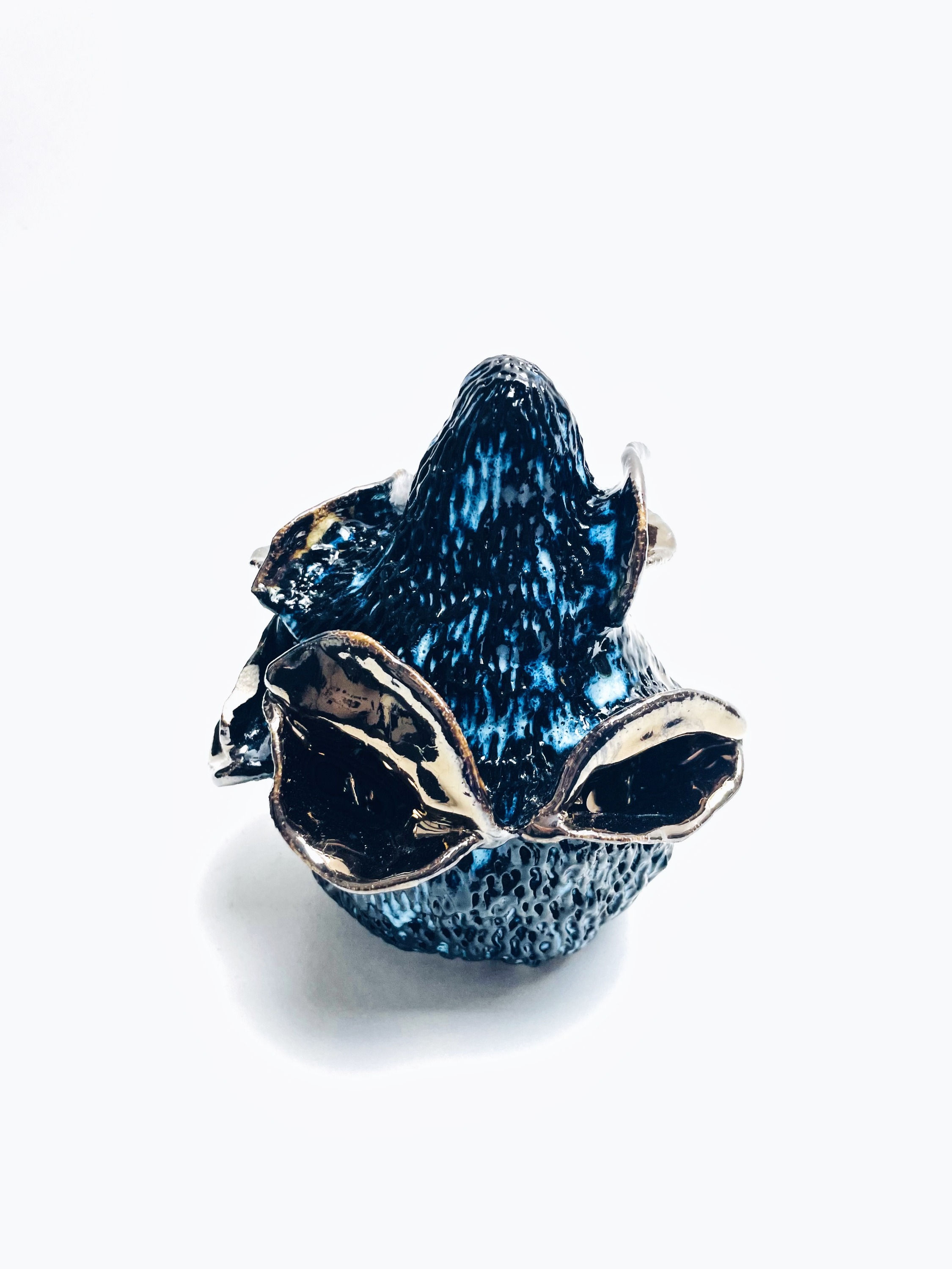 Banksia Serrata, Edition 9