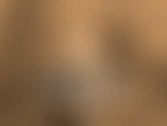 2022년 가을학기 AP 라틴어