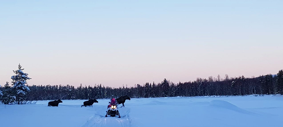 Snowmobiling