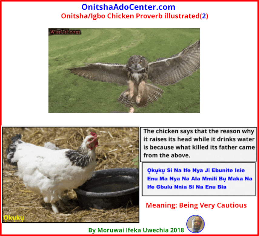 Onitsha Chicken Proverb Illustrated