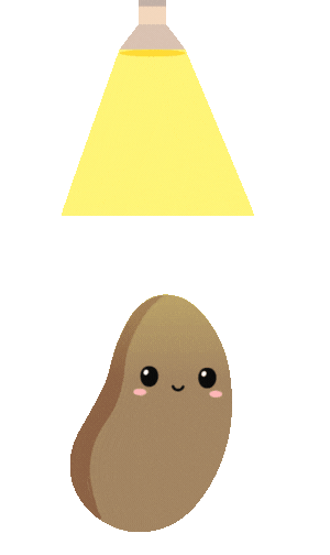 au1.gif