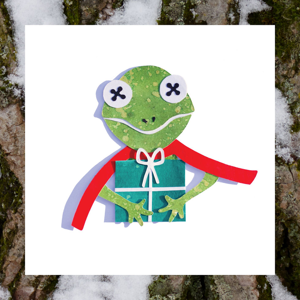 Thumbnail: frog with present