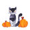Thumbnail: Cat and pumpkins