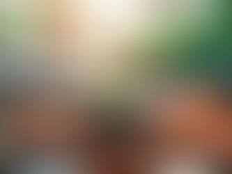 Fonte: Gerada via Google Gemini (Negócios Sociais)