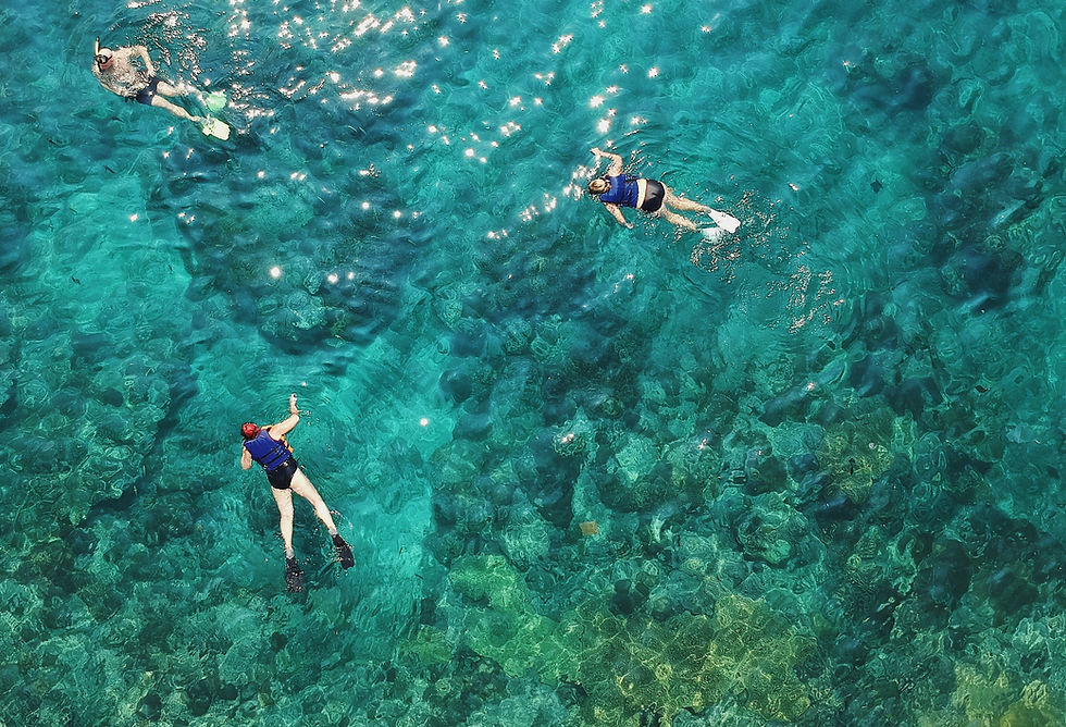 The Complete Family Travel Guide to Roatan, Honduras