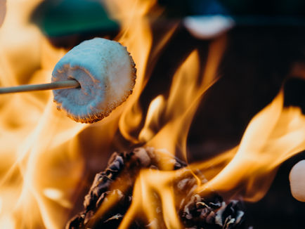 Roasting Marshmallow Treats on the Campfire