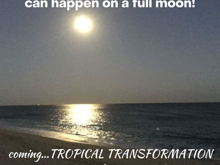 A Full Moon is Bringing Something Magical...