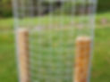 50mm aperture galvanised wire mesh tree protection guards supplied by Mastermesh Wire