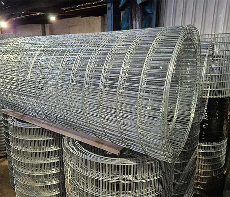 75mm x 25mm galvanised mesh treeguards are supplied in small diameter and large diamaters to suit the tree in either 1.2m or 1.8m sizes from stock.