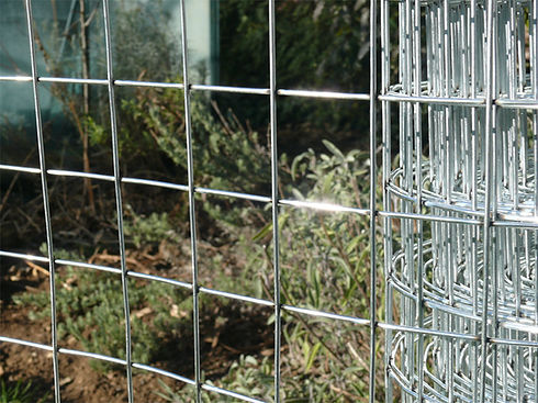 Galvanised Weld Mesh rolls for fencing and security fencing
