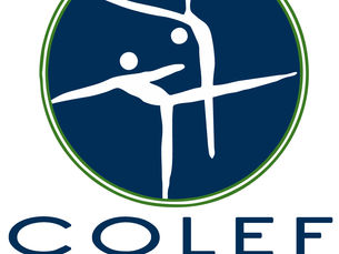 El presidente del COLEF Andalucía presentará el Informe de Gestión de la Junta de Gobierno 2021-2025 en una videoconferencia abierta a la colegiación