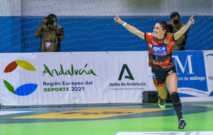 El COLEF Andalucía, presente en la reunión del Consejo Andaluz del Deporte