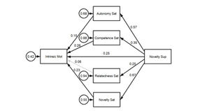 Videopaper: "Perceived Novelty Support and Phychological Needs Satisfaction in Physical Educati