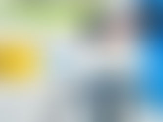 DGT y Consejo COLEF coinciden en que la movilidad sostenible puede vehicularse a través de la EF