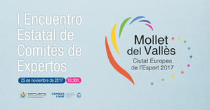I Encuentro Estatal de Comités de Expertos