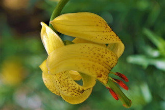 K50_9842 (2).JPG