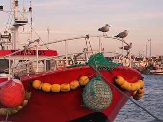 Aiguilleurs de la mer