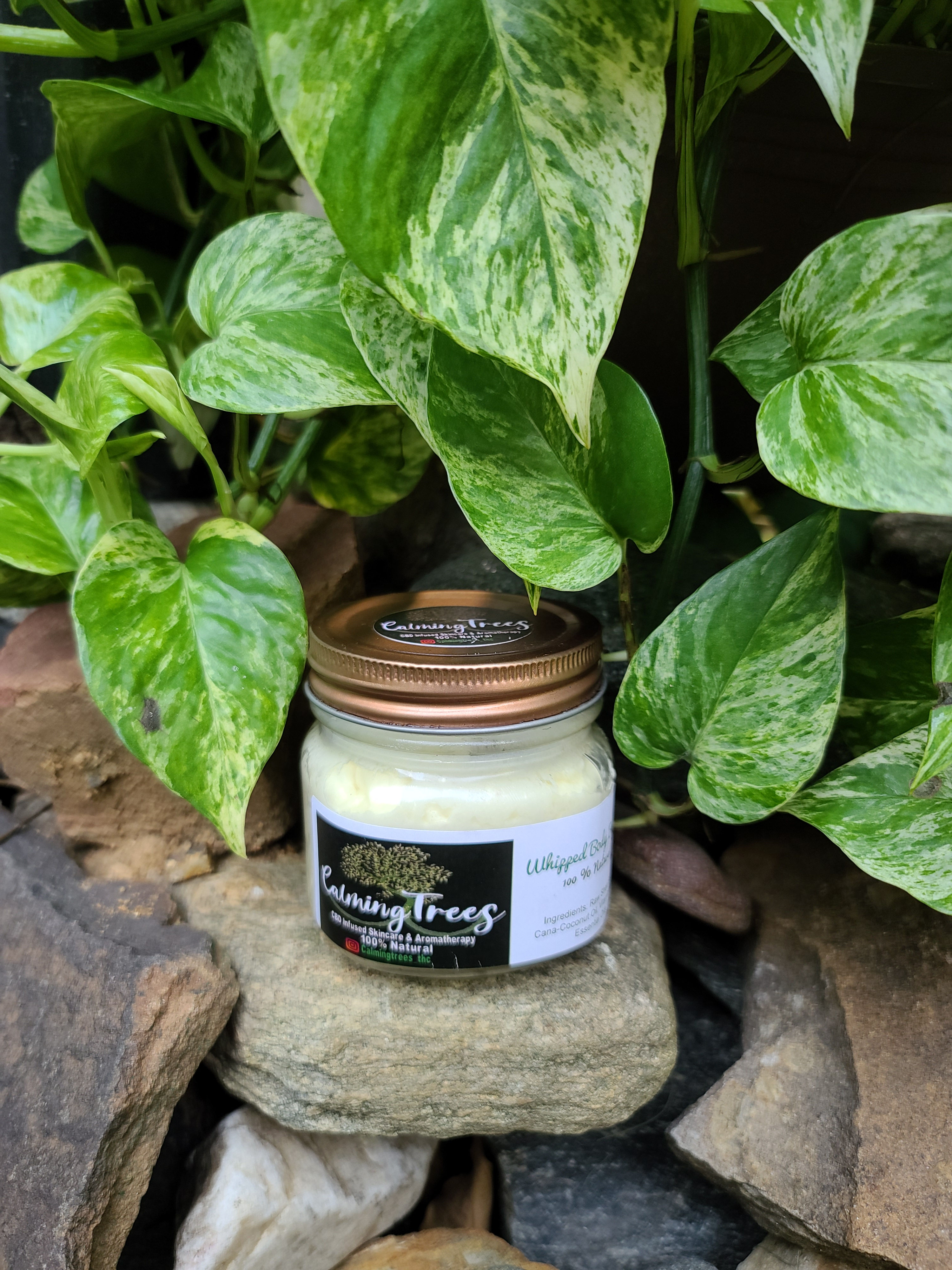 Whipped Body Butter