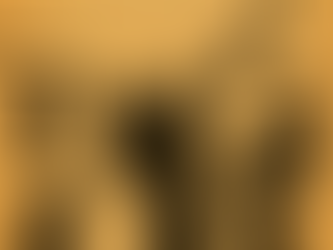 Rising Together – Menopause Event