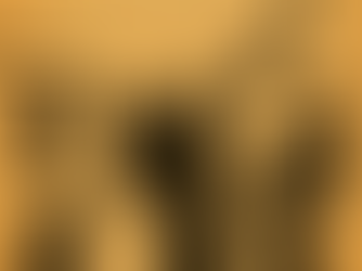 Rising Together – Menopause Event