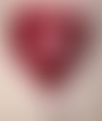 Are you dealing with a Narcissist?