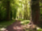 chemin