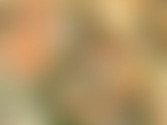 Sheet Pan Roasted Shrimp and Cauliflower with Parsley-Caper Relish