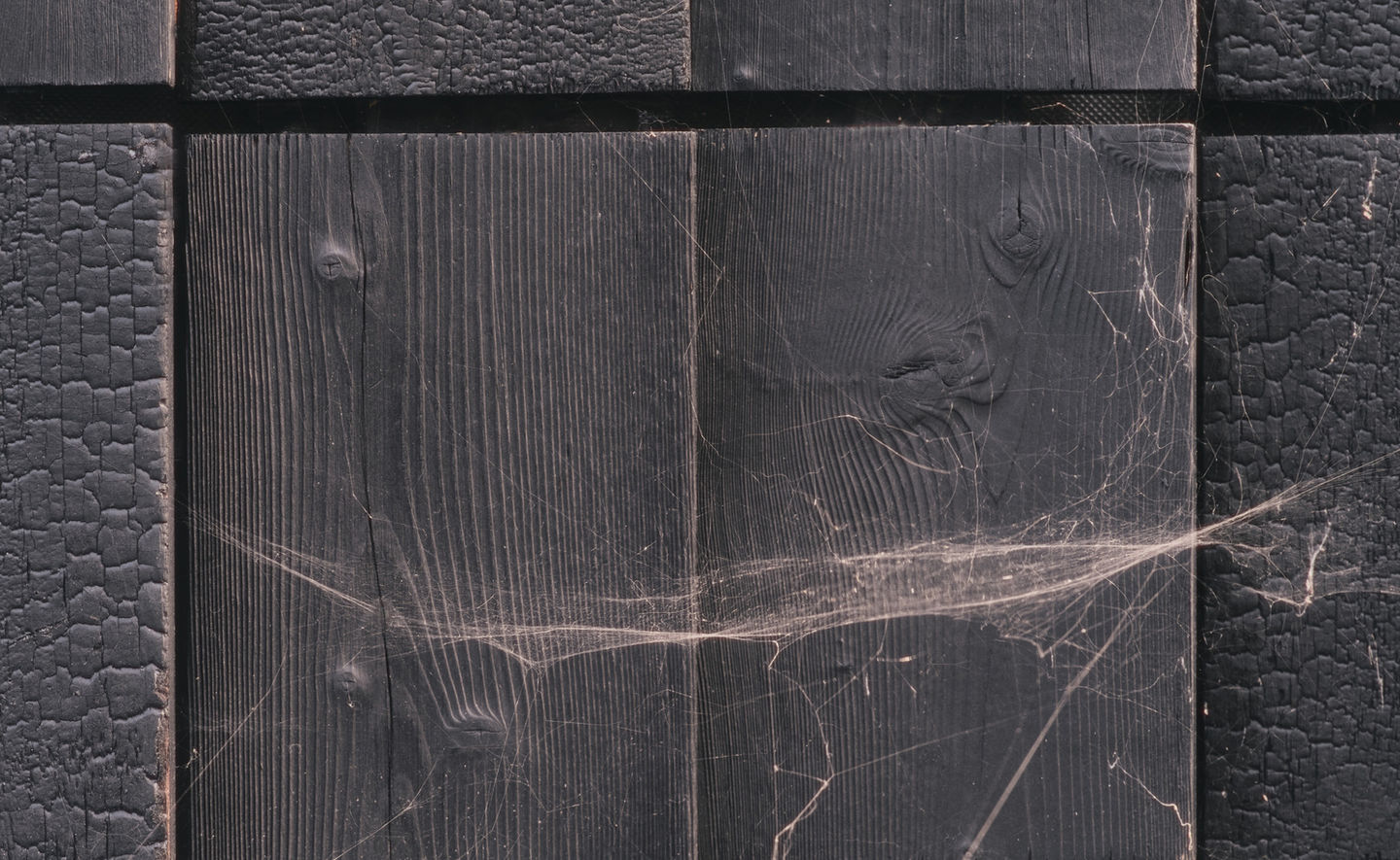 0970-SKennedy-HySpa-Tring-065