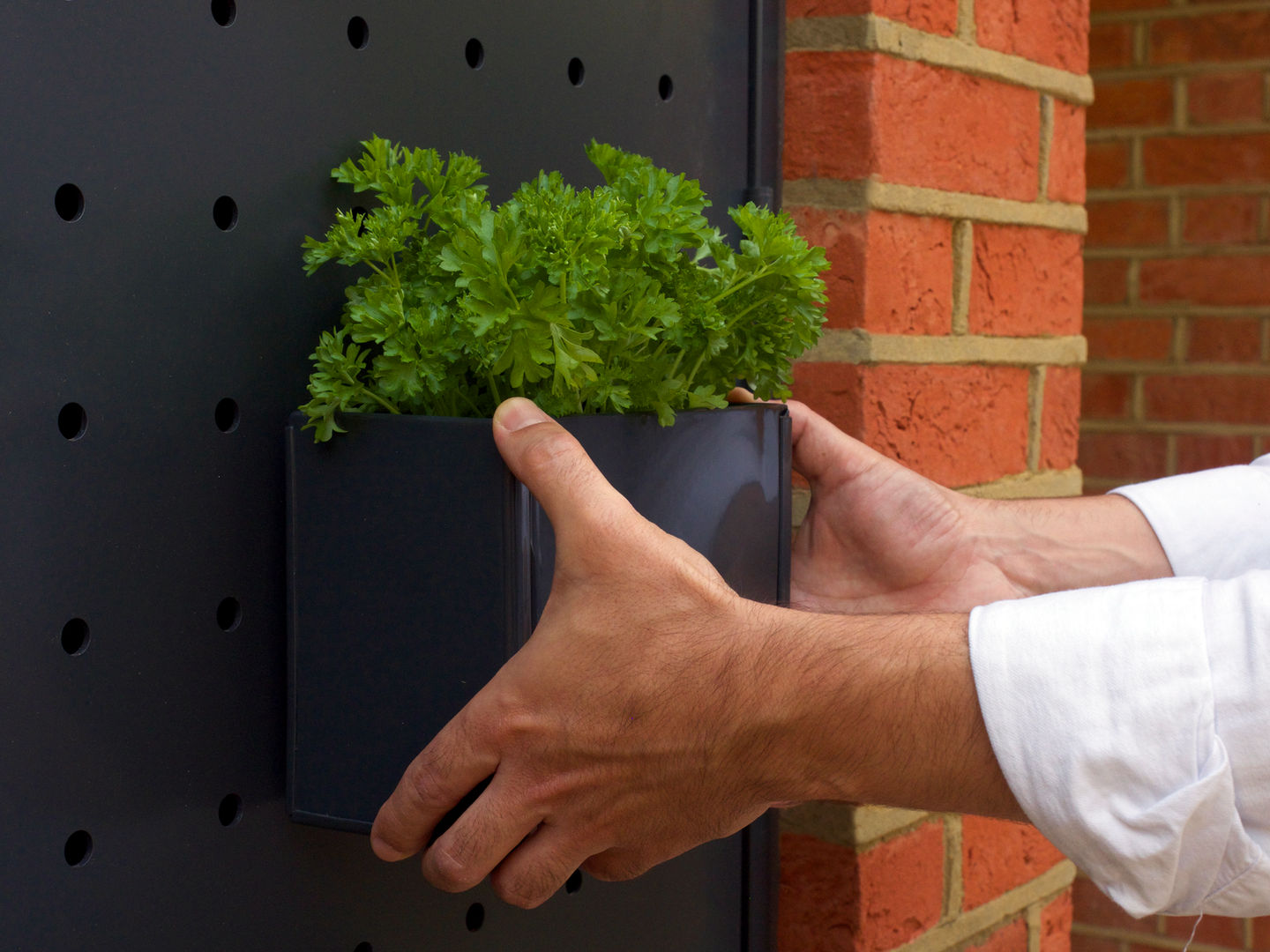 Vent door planter 01_OAO architects Cromdale House Extension