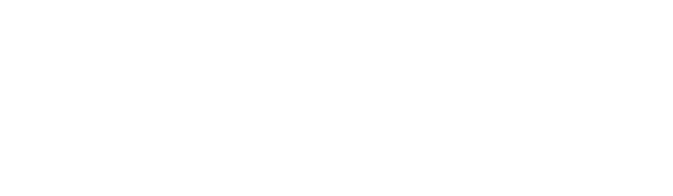 AE_Auto_Logo_wide.png
