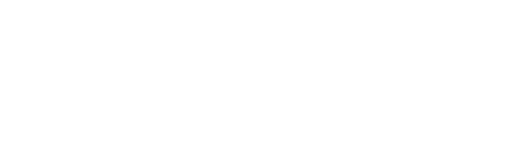 AE_Auto_Logo_wide_white.png