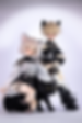 Thumbnail: Asleep Eidolon 1/4 doll Xinai