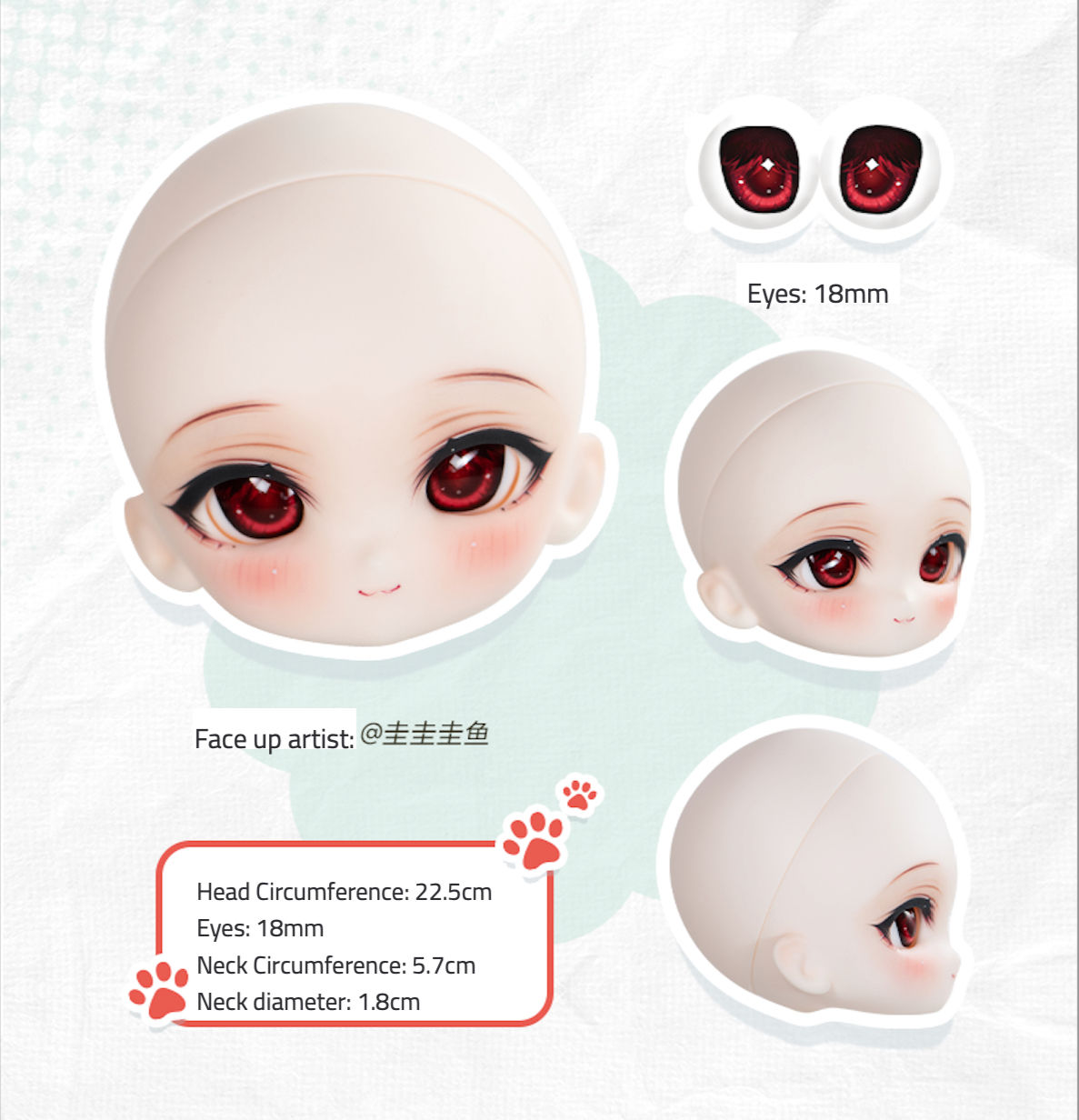 Tinyfox 1/6 doll Head CB-01 IS
