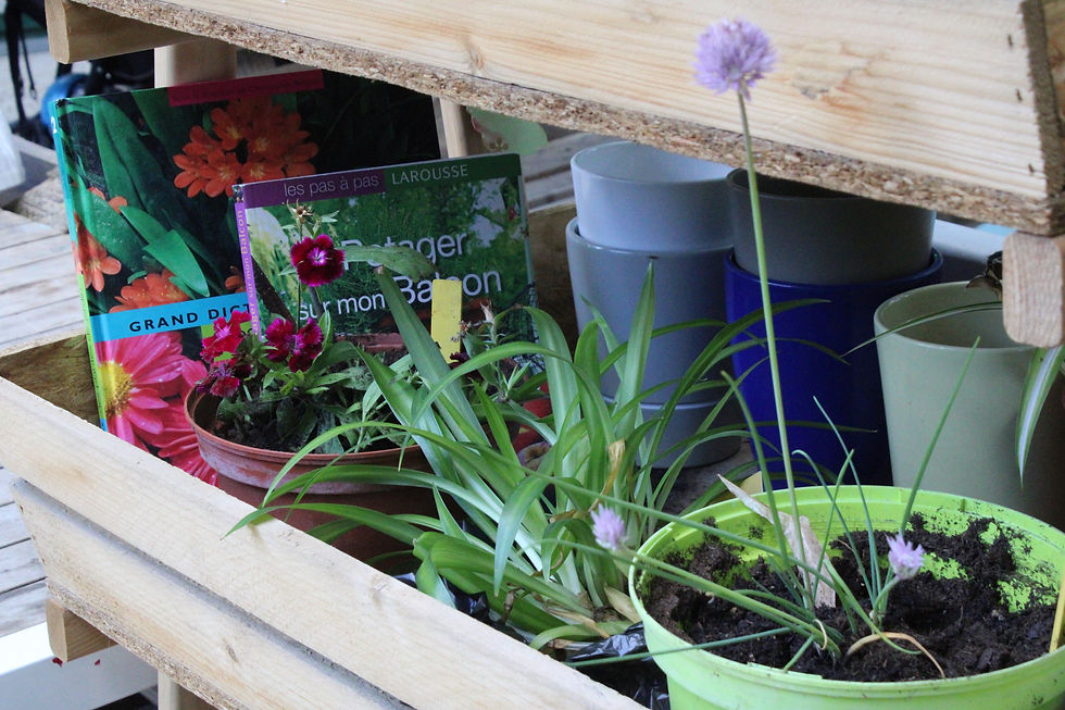 Troc de plantes avec Plant B