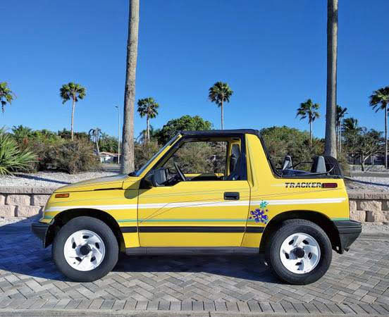 Sadie the Geo Tracker when she was in Florida in front of palm trees