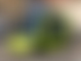 Charging Ahead: The Rise of Electric Mobility in North America