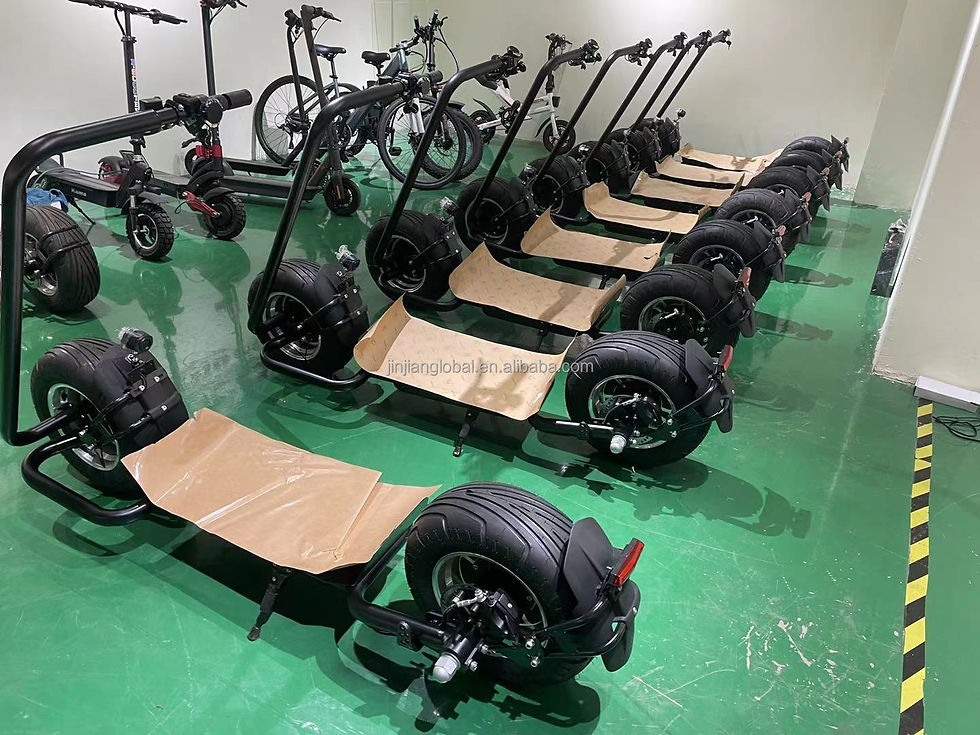 PhatCat Glider Electric Scooter