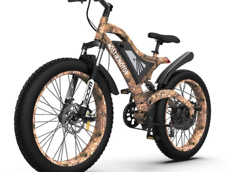 Global E-Bike Phenomenon: Trends, Regulations, and Cultural Shifts