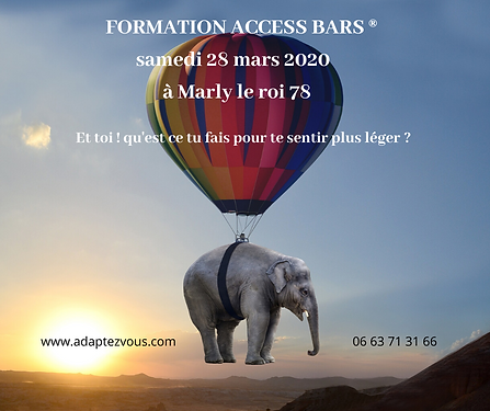 FORMATION ACCESS BARS(1).png