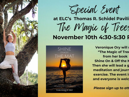 Special Event! The Magic of Trees