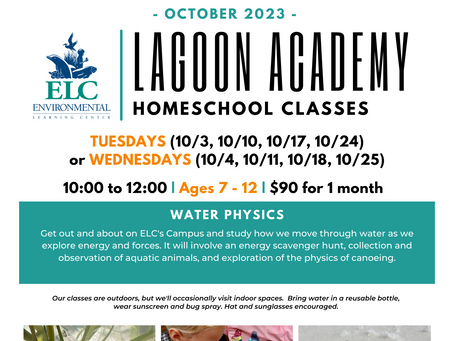 Lagoon Academy Homeschool